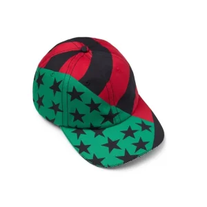 DT Flag-keps